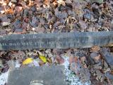 image of grave number 365077